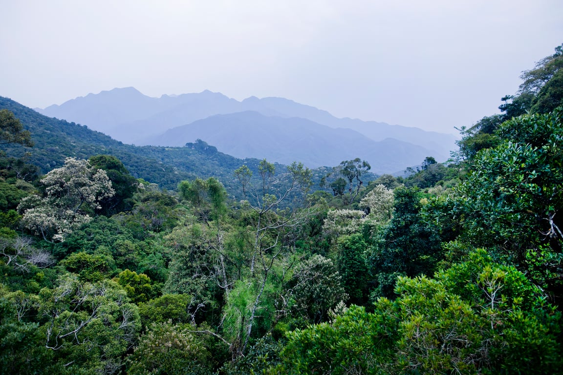 Paisagem da Zona da Mata de Minas Gerais ao entardecer