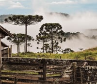 Paisagem da Serra Catarinense, região de Anita Garibaldi SC