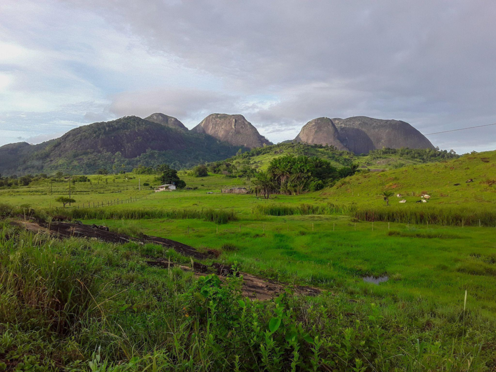 Vista agrícola em Minas Gerais, com relevo ondulado ao pôr do sol