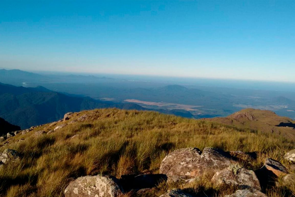 Vista panorâmica de Campo Alegre SC, com vegetação de araucárias e relevo montanhoso ao fundo