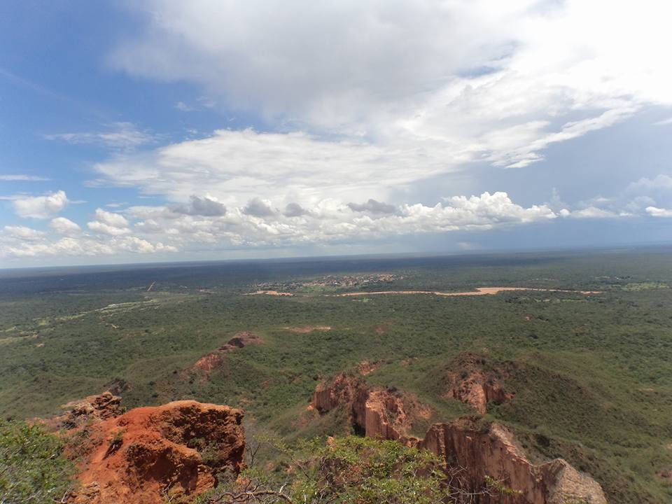 Chapada Gaúcha MG vista aérea e paisagem de cerrado