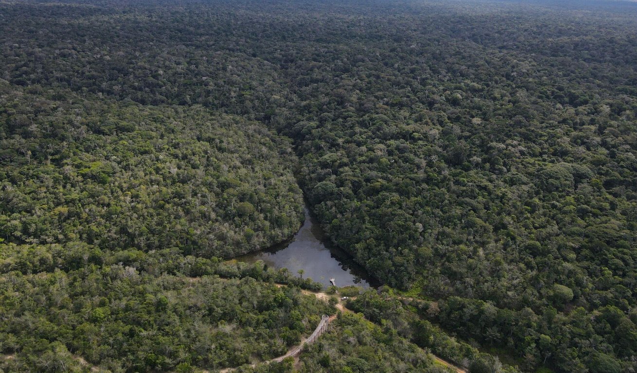 Agentes ambientais em patrulha, com vegetação densa de Mata Atlântica e rio sinuoso ao fundo