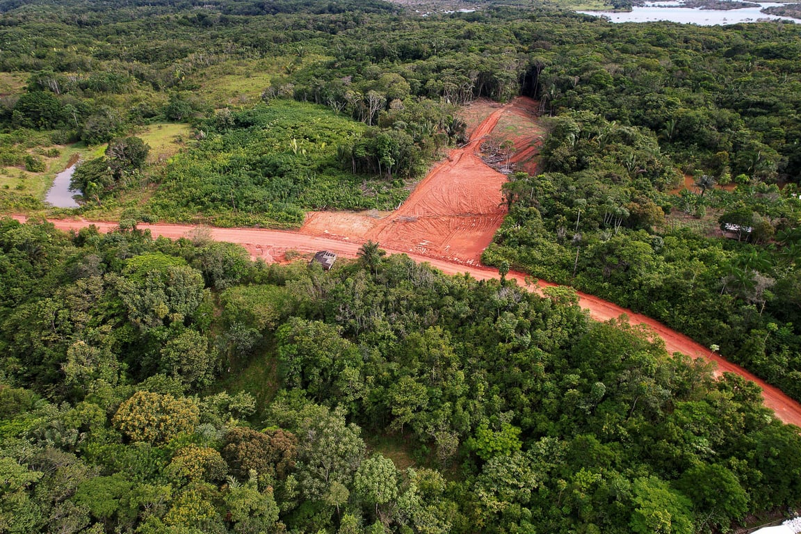 Estrada de terra cercada por vegetação amazônica sob céu aberto