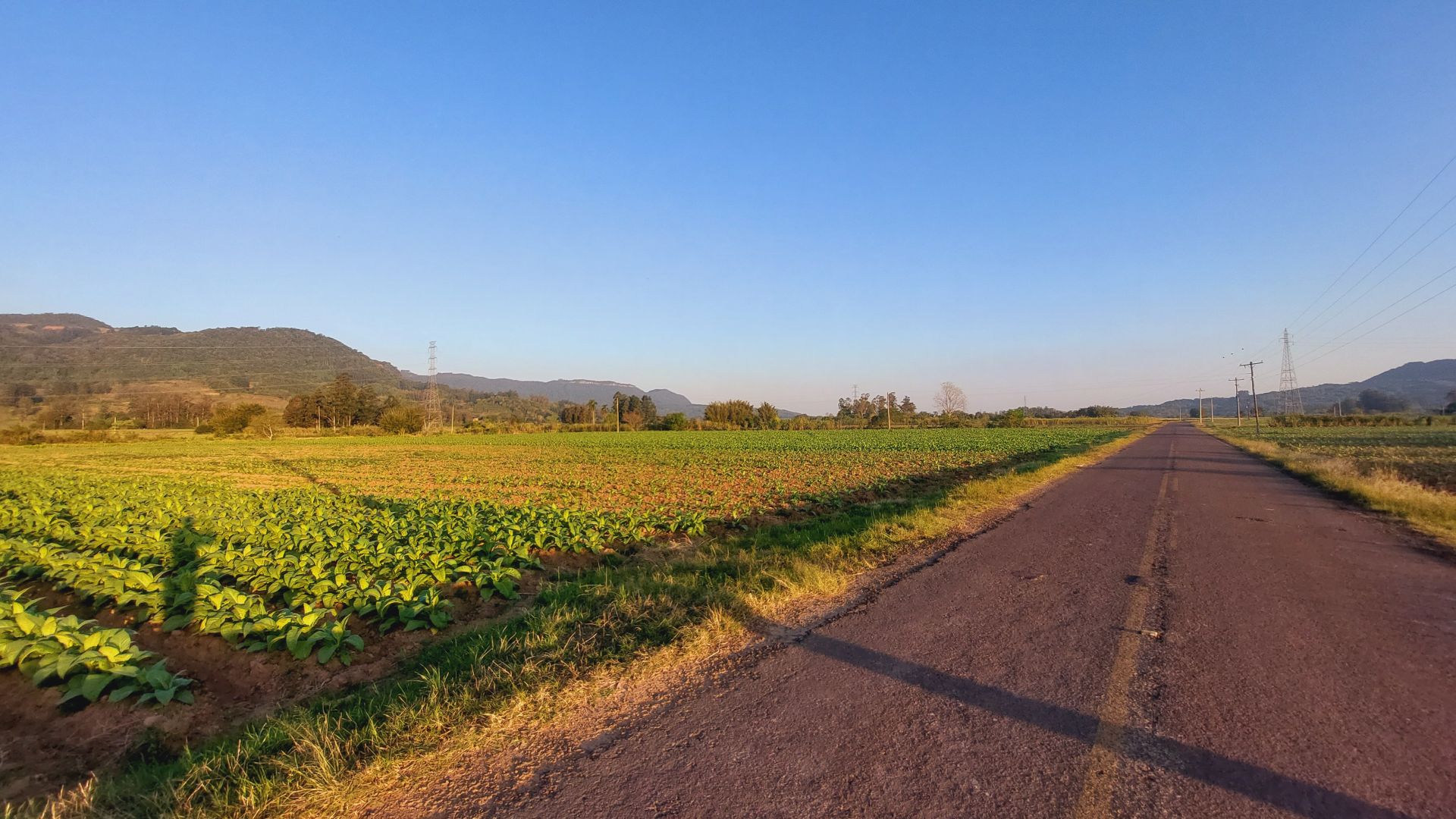 Estrada rural no interior do Rio Grande do Sul, com áreas agrícolas ao redor e céu limpo, no Vale do Rio Pardo