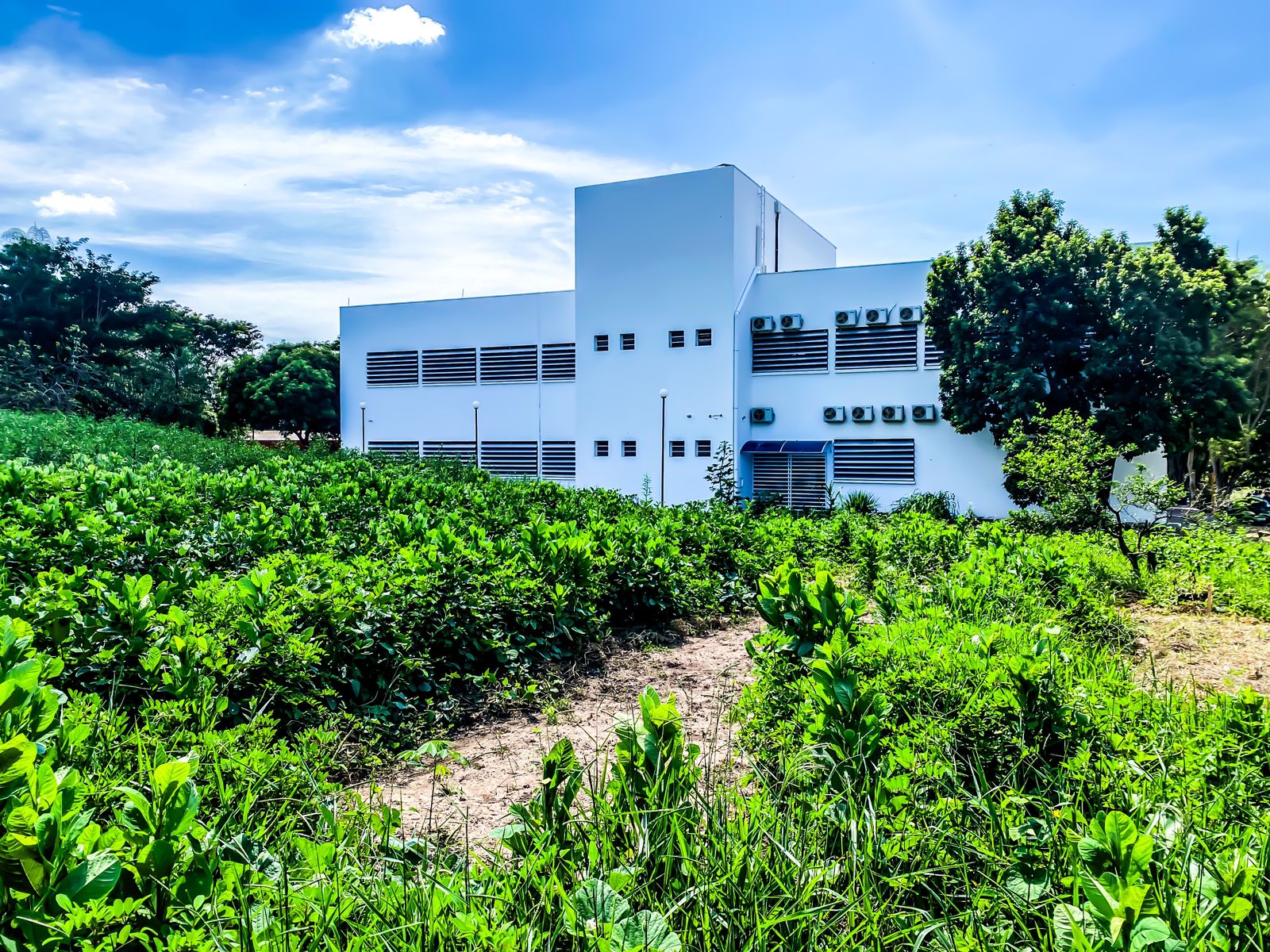 Campus da FCT/UNESP em Presidente Prudente, com prédios acadêmicos e áreas verdes