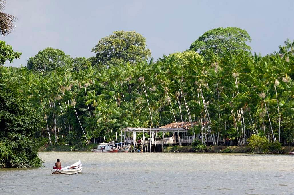 Vista ribeirinha amazônica ao entardecer, com casas sobre palafitas e vegetação exuberante