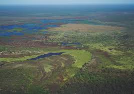 Vista aérea do Pantanal ao pôr do sol