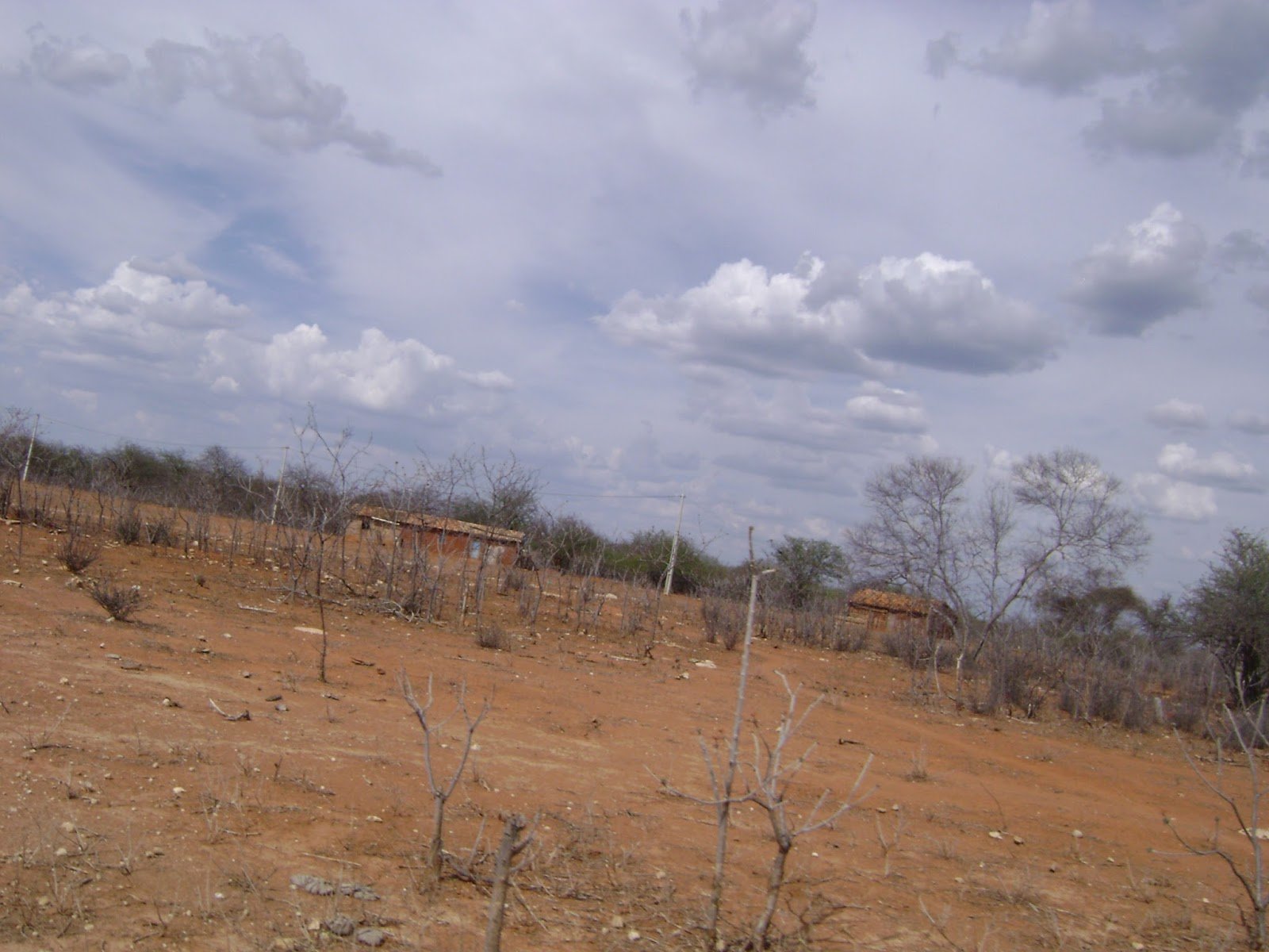 Paisagem do semiárido em Campo Formoso BA