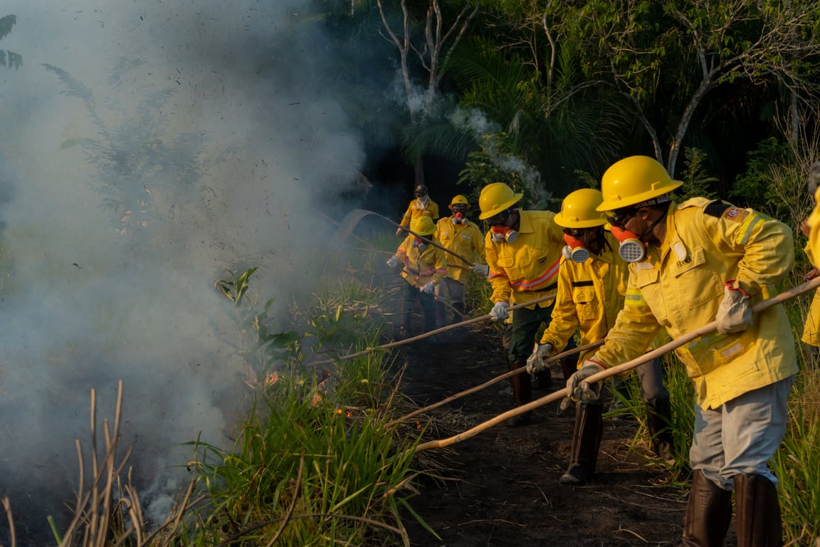 Brigadistas em ação na Amazônia