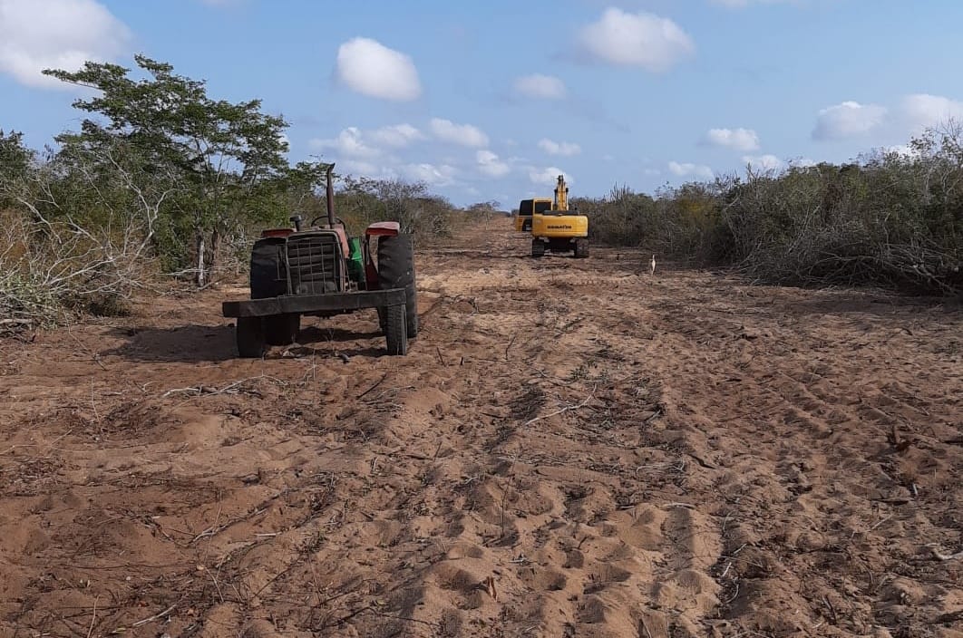 Estrada de terra no semiárido com vegetação de caatinga, cenário típico do interior piauiense