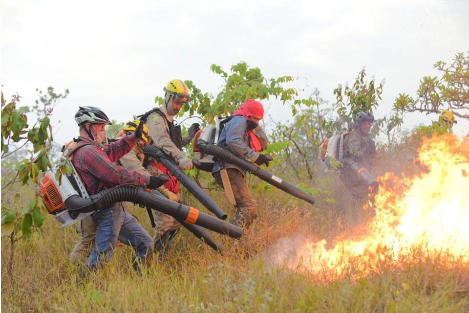 Equipes de brigadistas de incêndio florestal em ação, utilizando equipamentos de combate a incêndio em cenário de Cerrado com fumaça ao fundo.