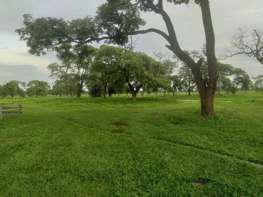 Paisagem na região de Bataguassu MS