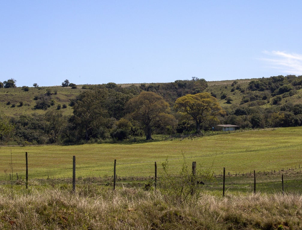 Paisagem rural de Ibirapuitã RS