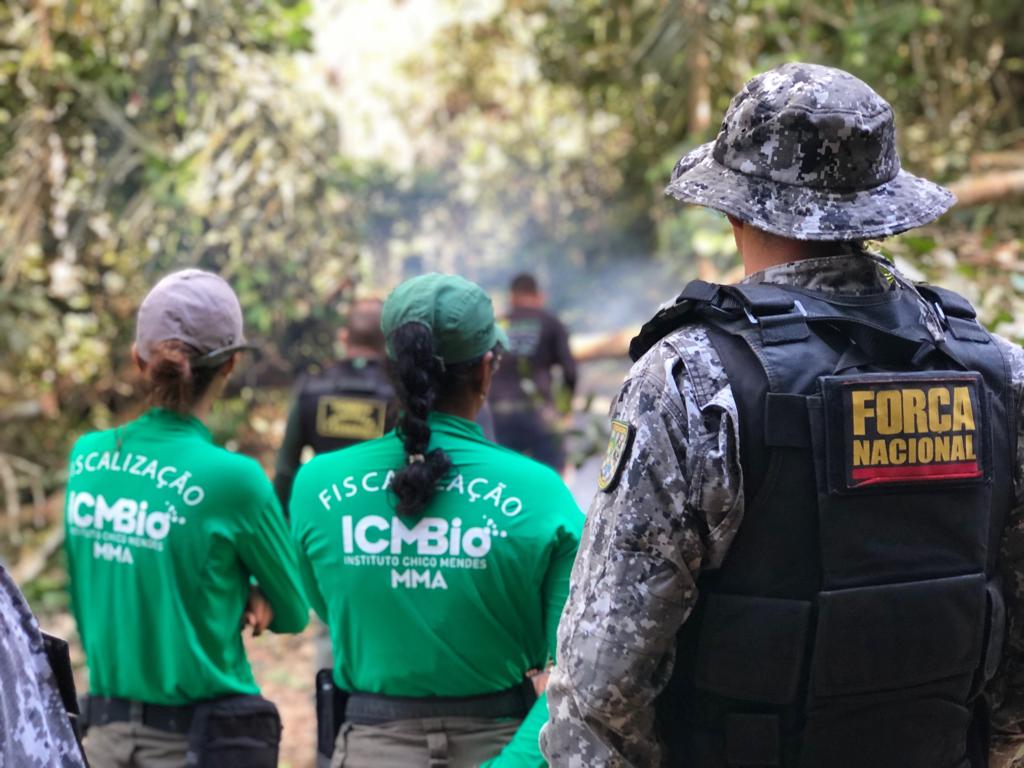 Agentes ambientais do ICMBio em campo, uniformes verdes, fiscalização em área de mata (rostos não identificáveis)