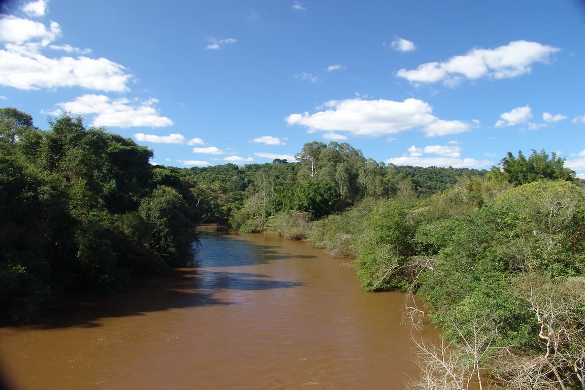 Vista aérea de um rio no interior paulista, cercado por vegetação e com céu limpo.
