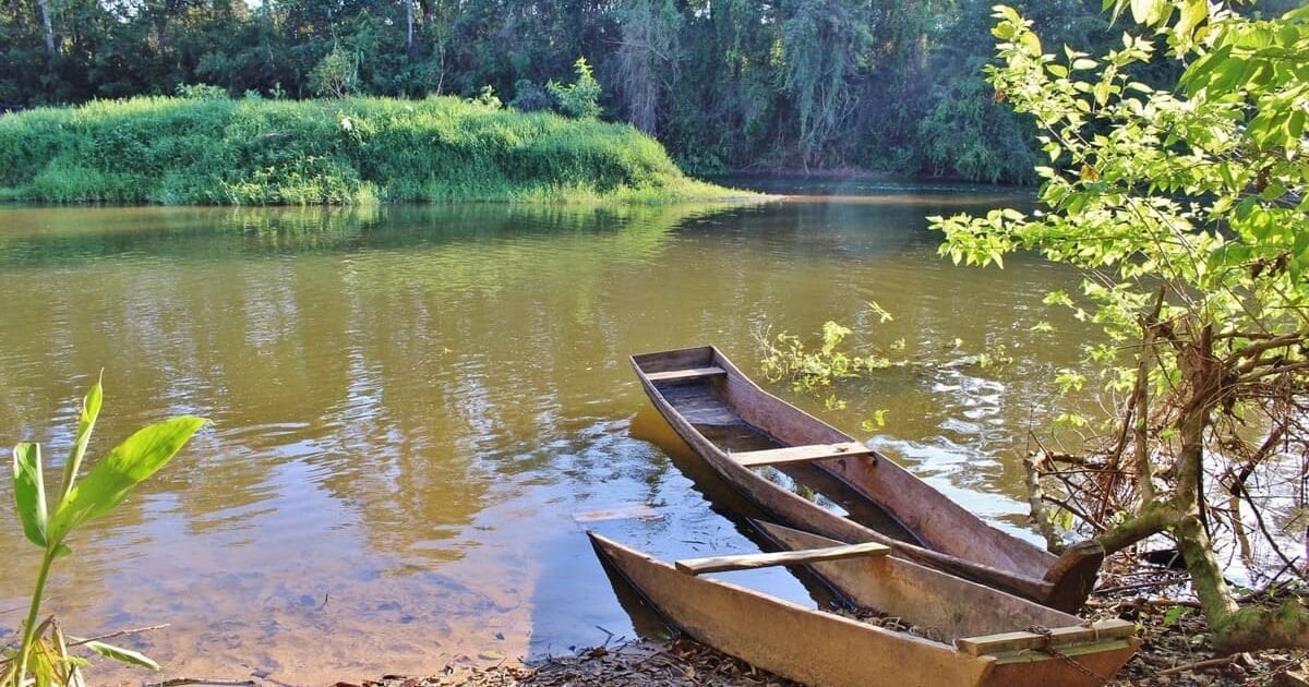 Paisagem de Mata Atlântica no Vale do Ribeira, em Barra do Turvo SP