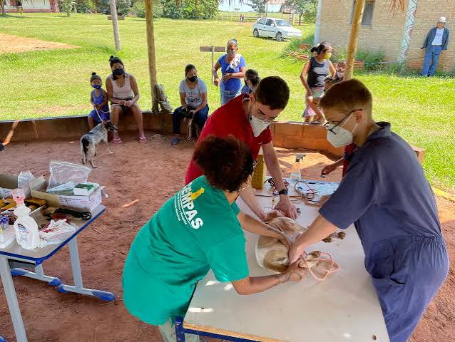 FAMESP Botucatu SP abre 7 processos seletivos para médicos