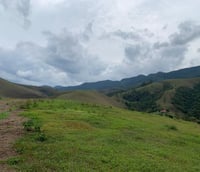 Vista urbana de Tambaú SP, cidade do interior paulista atendida pelo CONDERG.