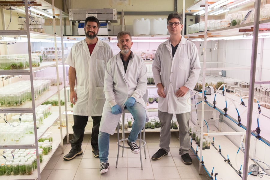 Laboratório e pesquisa em ambiente acadêmico de agrárias