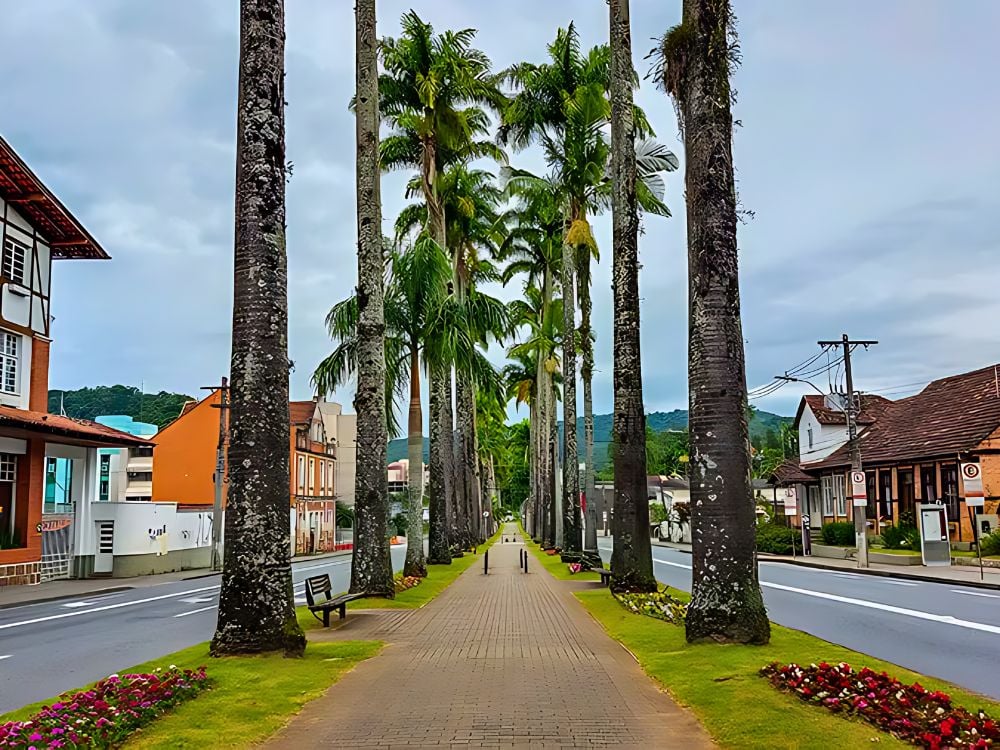 Área universitária com blocos e calçadão arborizado, sugerindo campus e integração com a cidade