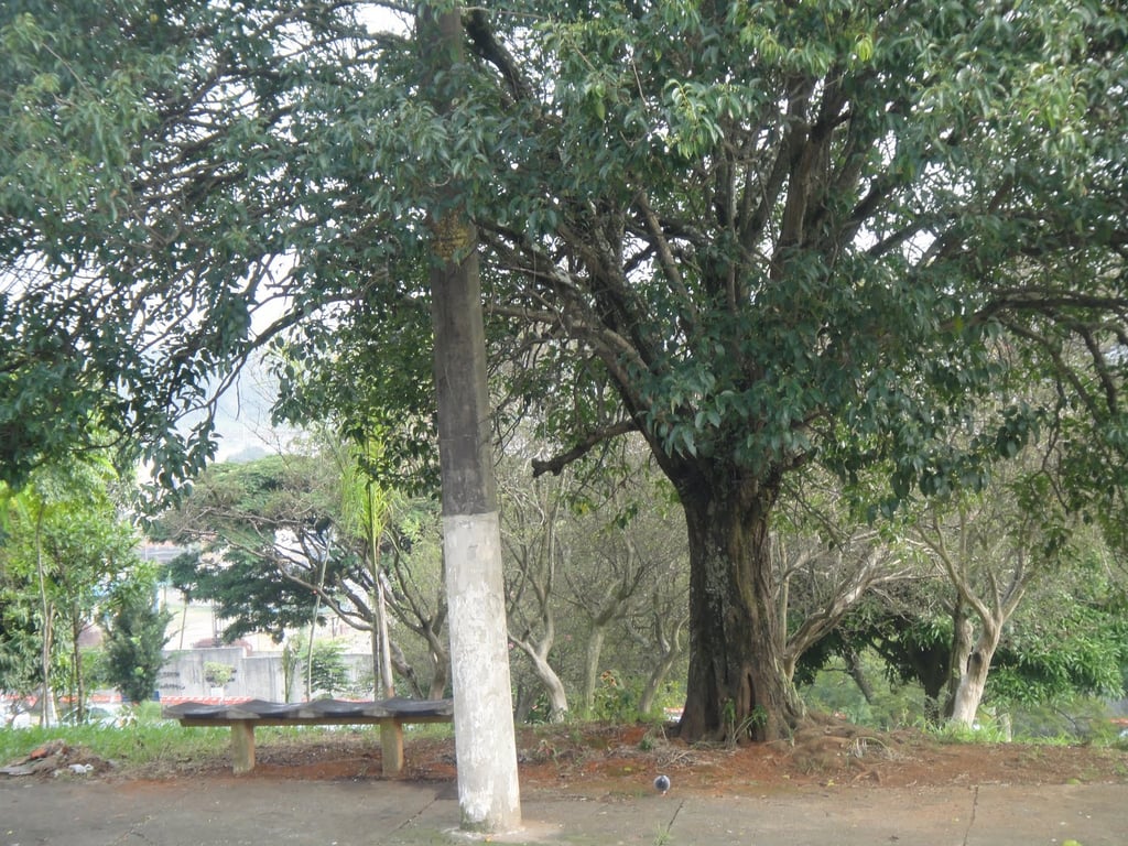 Praça de cidade pequena no interior de São Paulo