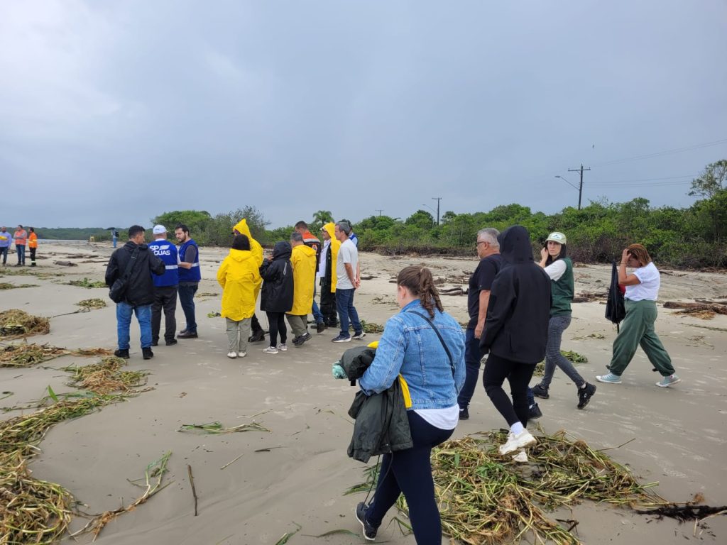 Equipe de conservação costeira usando coletes e pranchetas durante monitoramento, com vegetação de restinga ao fundo.