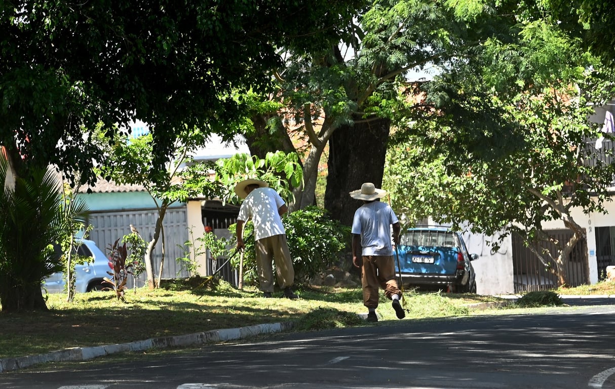 Serviços de manutenção urbana