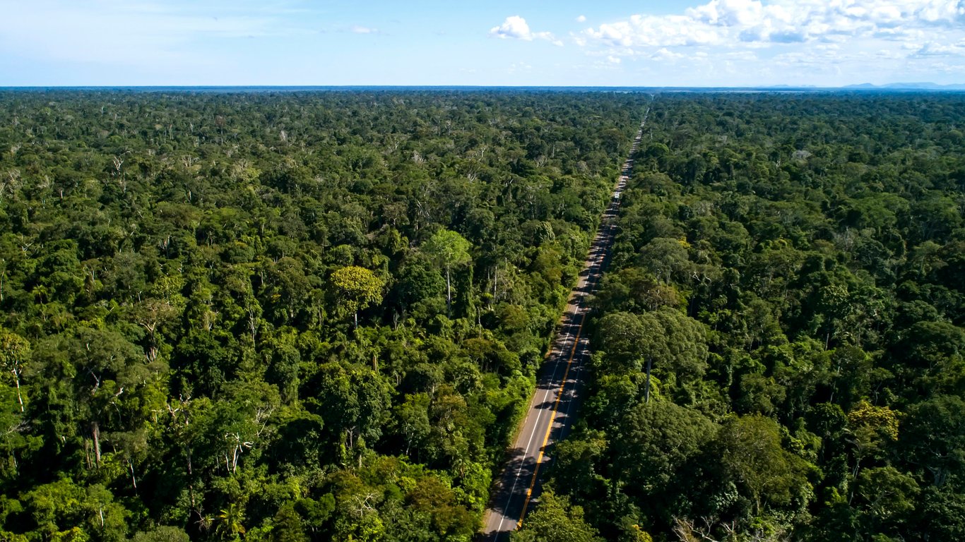 Vegetação atlântica na região de Sooretama ES