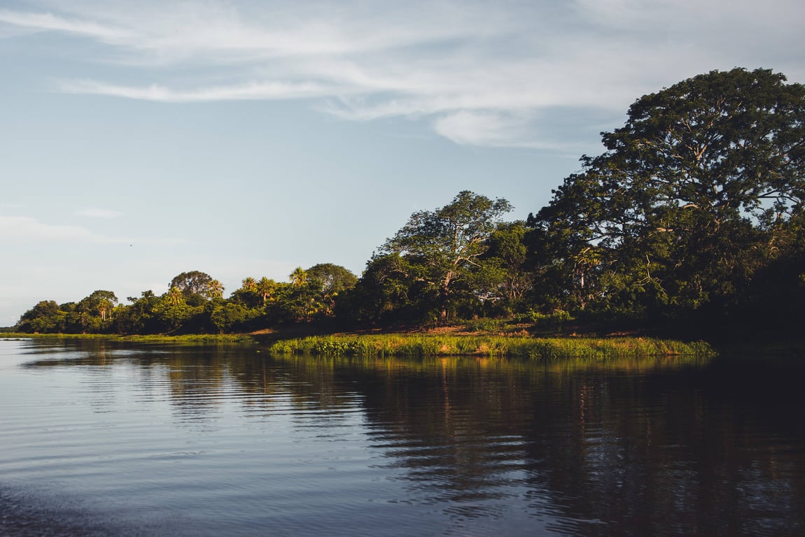 Pantanal ao pôr do sol, com canais de rio e áreas alagadas