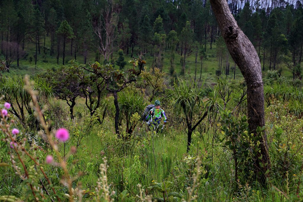 Paisagem do Cerrado próximo a Brasília, com vegetação típica e céu amplo