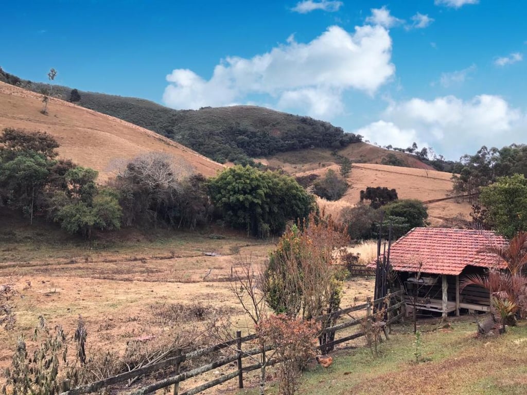 Paisagem rural do interior paulista ao entardecer, com vegetação e abrigo simples sob céu limpo