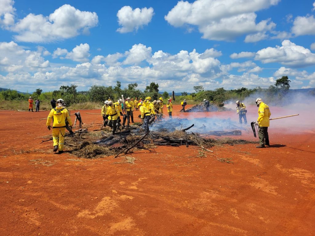 Agentes da Defesa Civil em operação de campo, ilustrando atividade típica do cargo