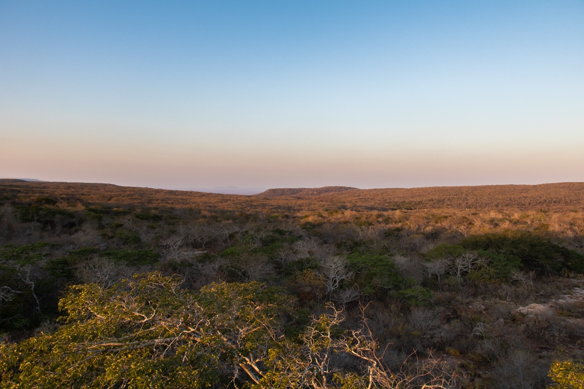 Estrada no semiárido piauiense