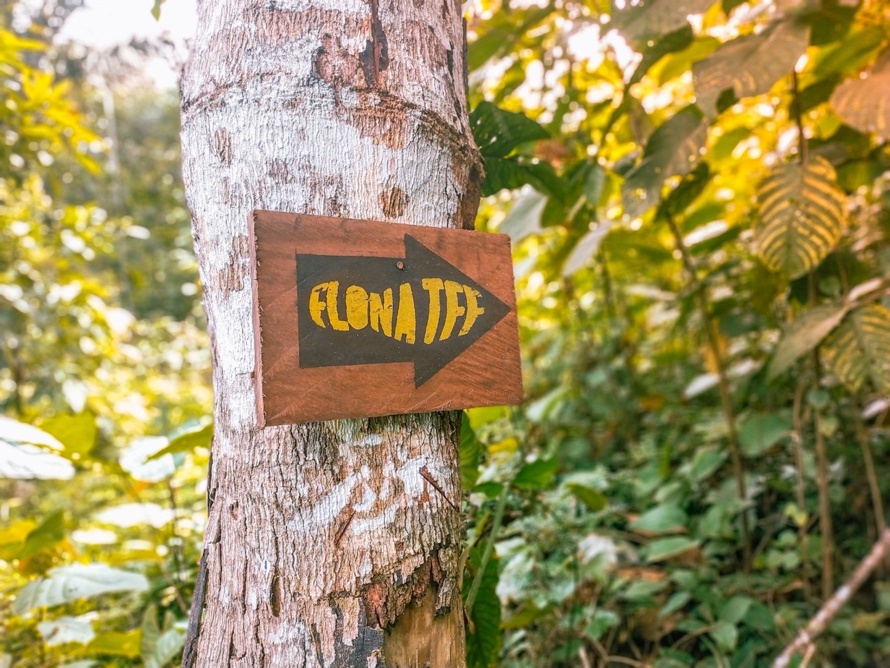 Trilha sinalizada em floresta amazônica