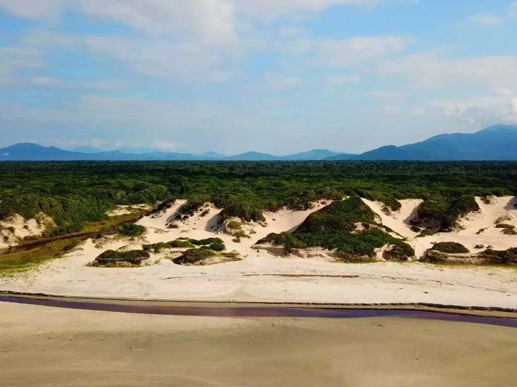 Vista aérea de praia e restinga em Ilha Comprida (SP)