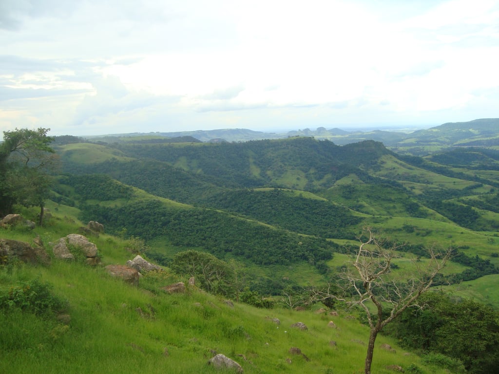 Paisagem natural com colinas e vegetação densa, representando a Cuesta de Botucatu SP, sob céu nublado.