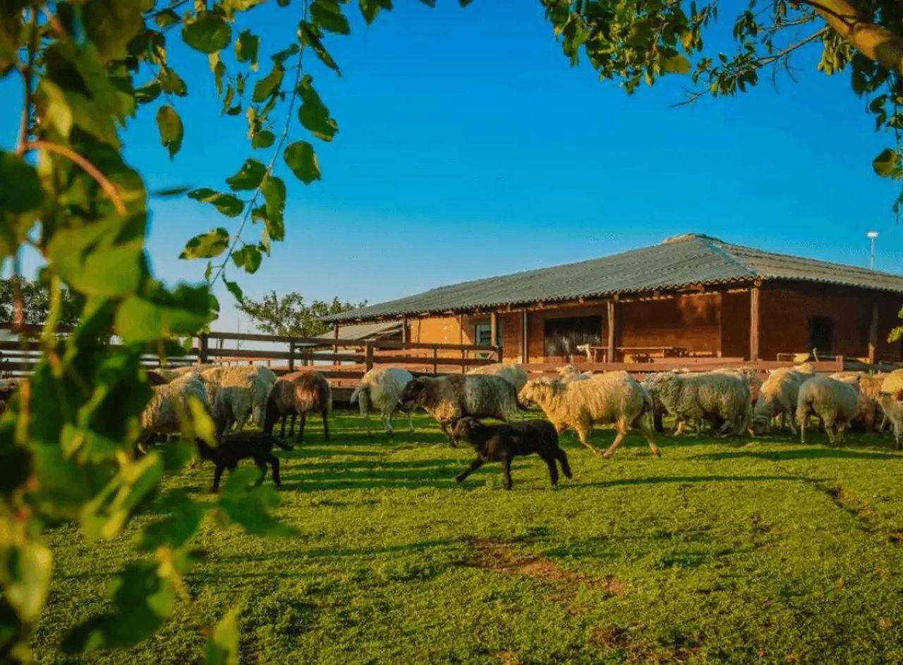 Paisagem rural do Vale do Rio Pardo, com campo verde e céu limpo