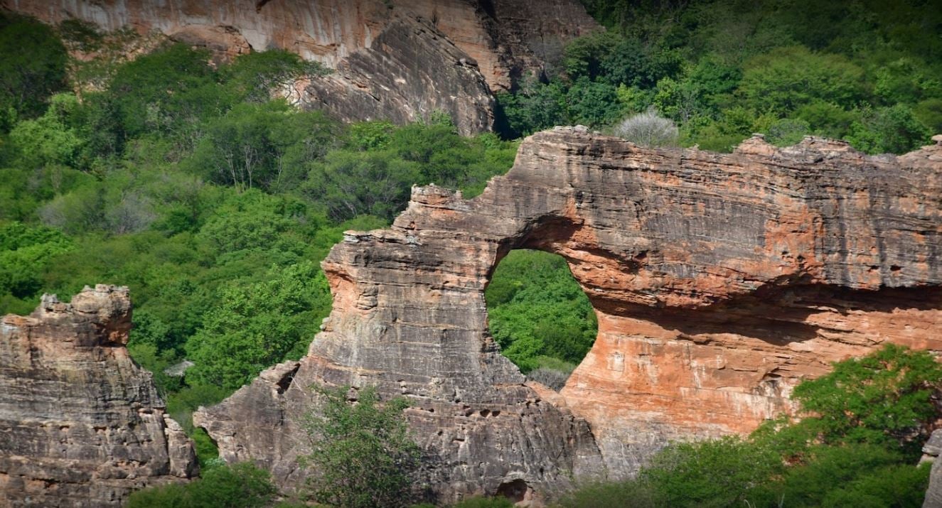 Paisagem do Piauí em área de caatinga, céu aberto