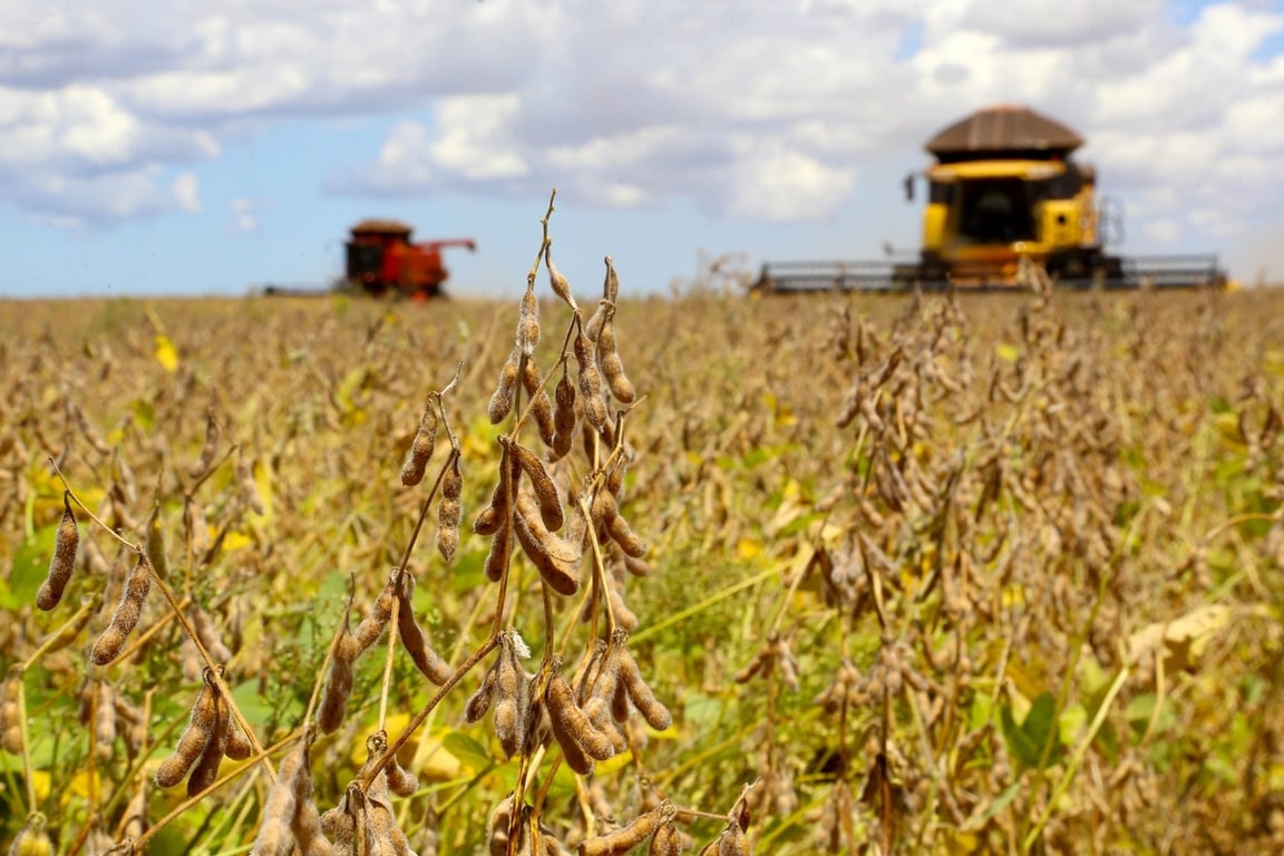 Cenário agrícola com plantações de soja no interior do Paraná