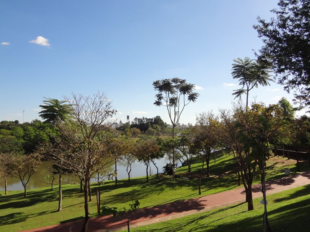 Vista urbana com áreas verdes ao entardecer