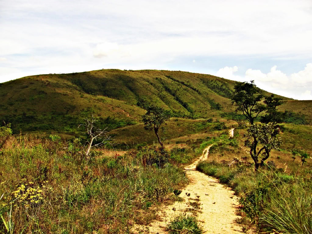 Parque Estadual do Juquery, em Franco da Rocha SP