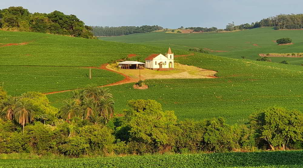 Paisagem rural no Norte Pioneiro do Paraná, com campos de soja ao pôr do sol