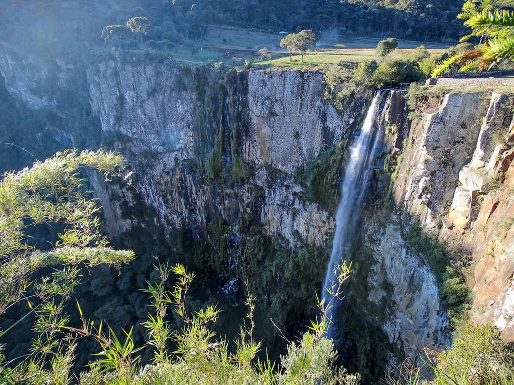 Estrada serrana com geada na Serra Catarinense ao amanhecer