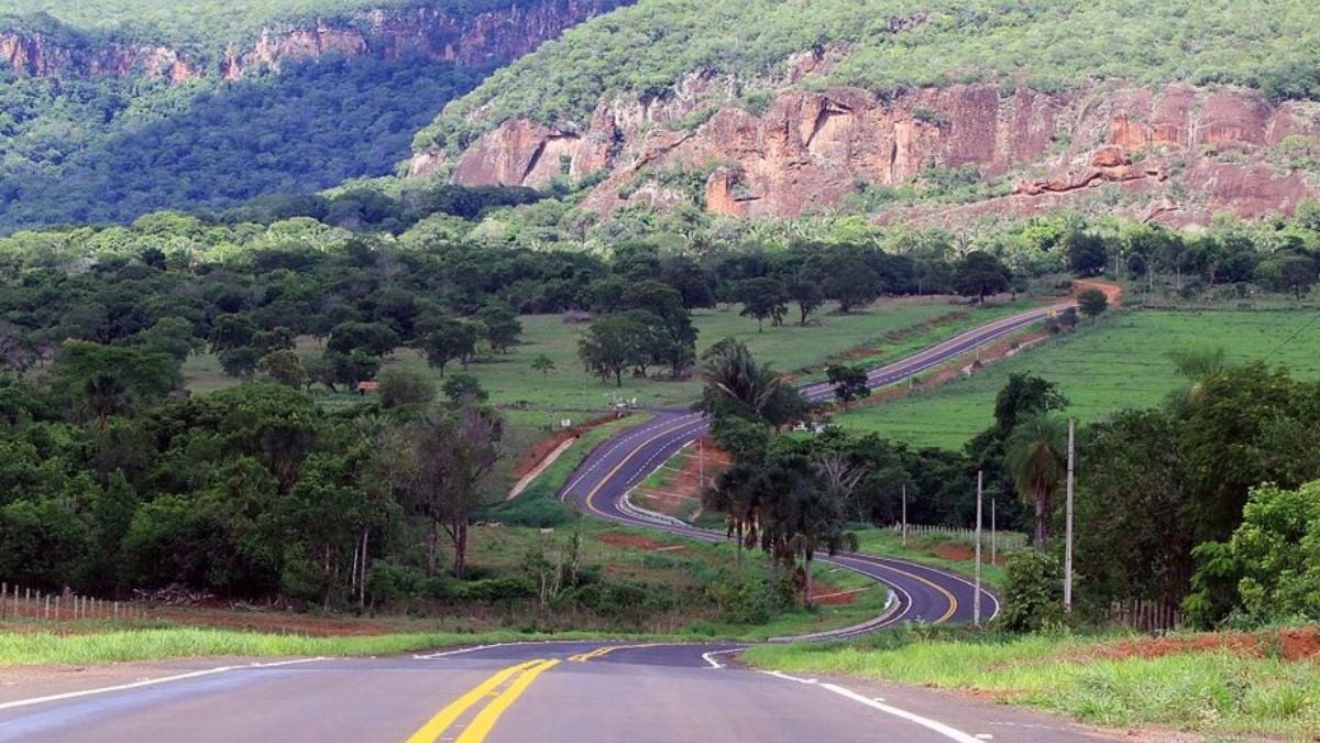 Paisagem rural de Mato Grosso do Sul com estrada e vegetação do Cerrado ao fundo