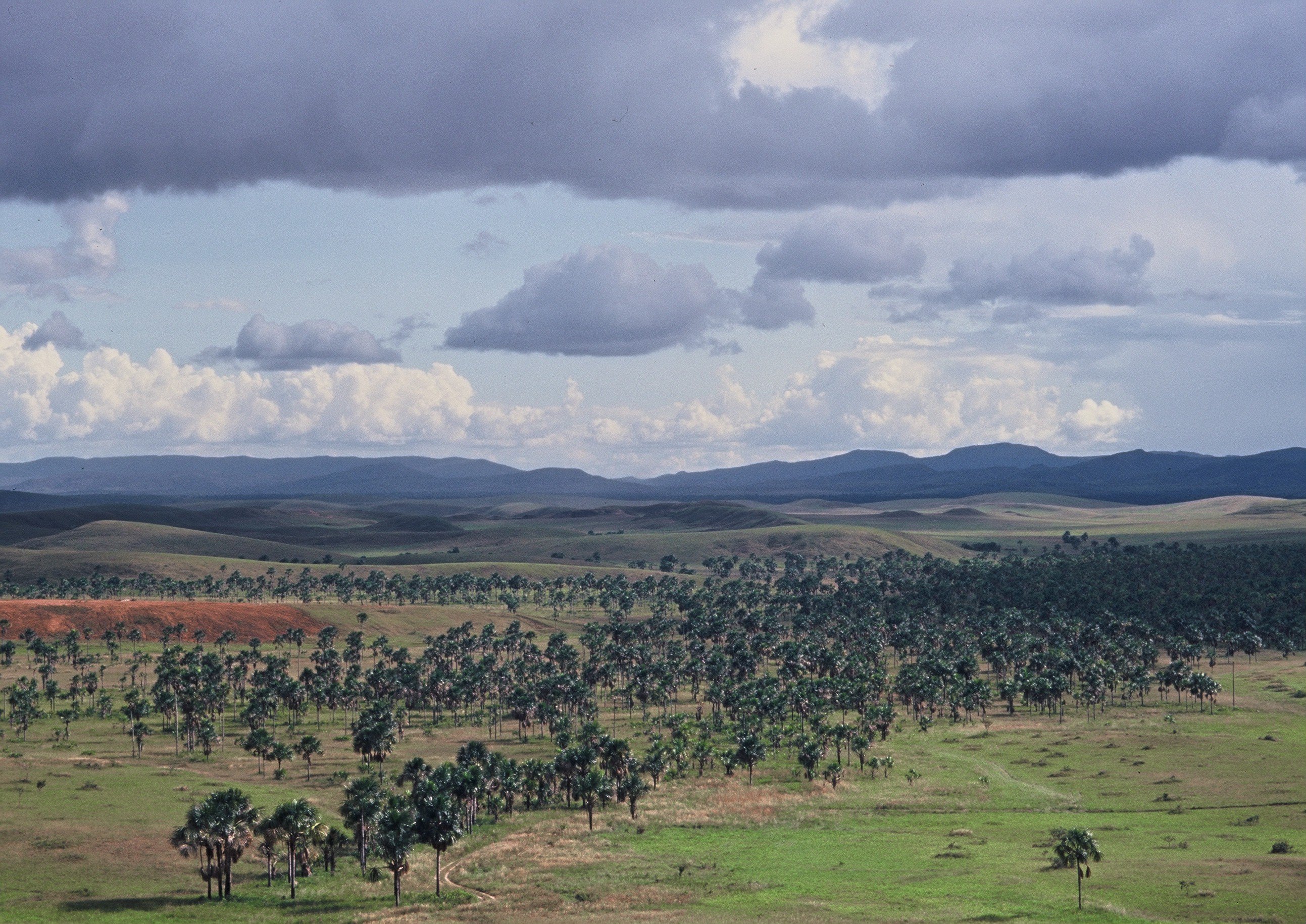 Paisagem de savana (lavrado) e acesso rodoviário no norte de Roraima