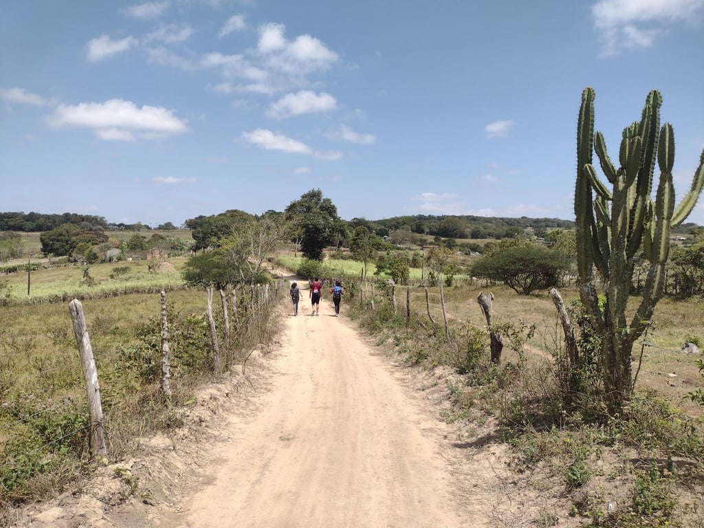 Estrada no Agreste pernambucano, vegetação de caatinga e céu azul