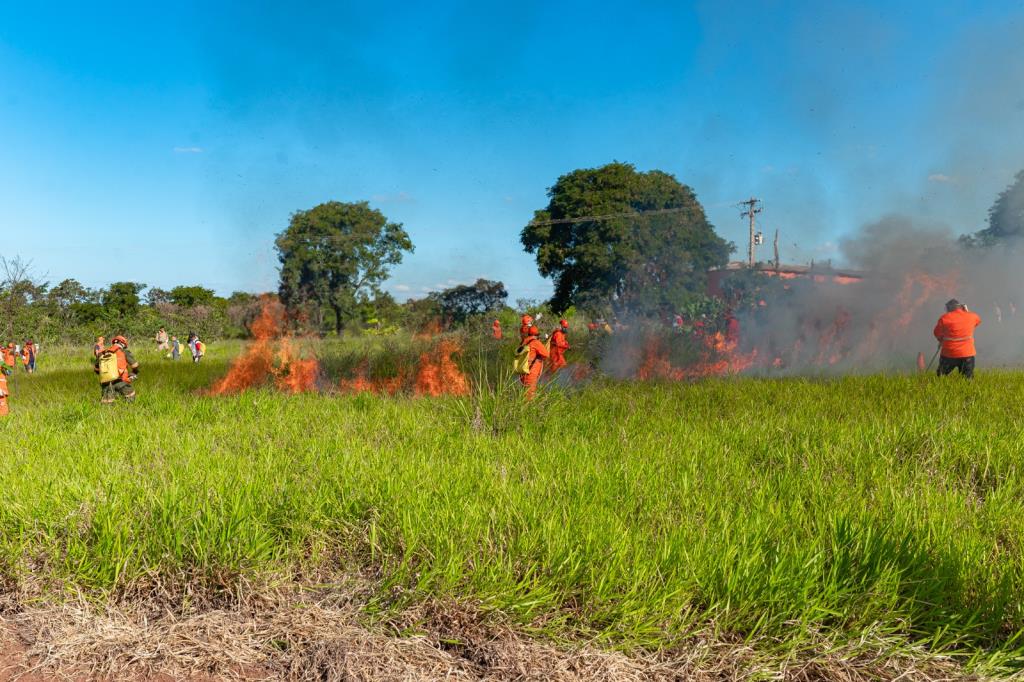 Brigadistas florestais em treinamento com equipamentos de combate a incêndio, em área natural