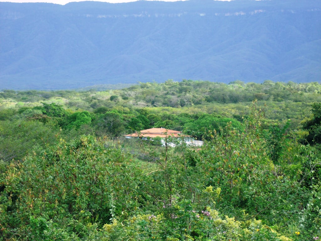 Paisagem do Norte do Piauí, com relevo e vegetação típica da região da Serra da Ibiapaba