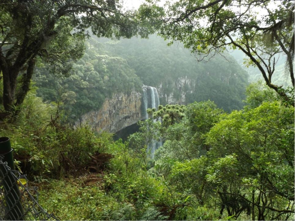 Paisagem natural com cachoeira e vegetação exuberante da Mata Atlântica, em Santa Catarina