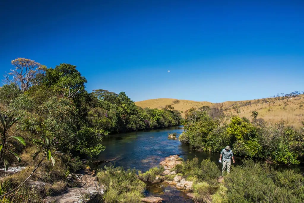 Cerrado: paisagem aberta, com veredas e campos limpos sob céu azul